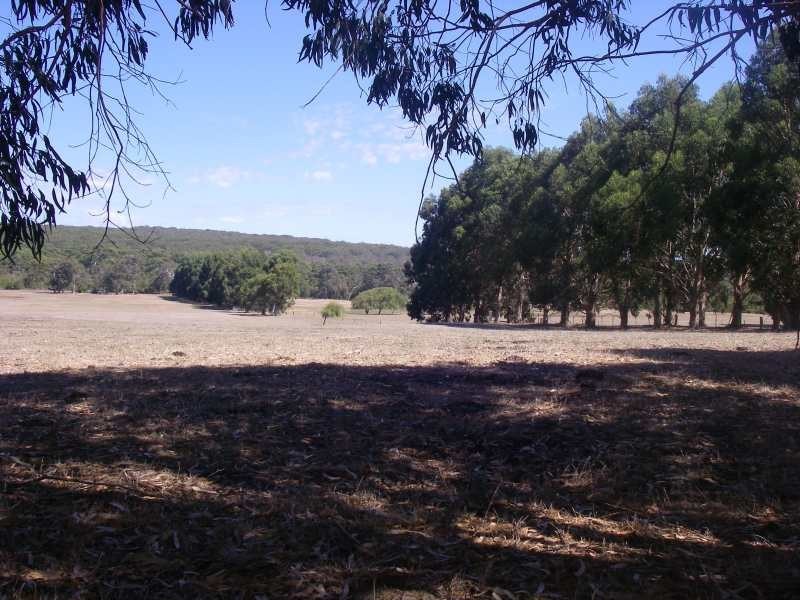 Lot 304,  Buller Road, Karridale WA 6288