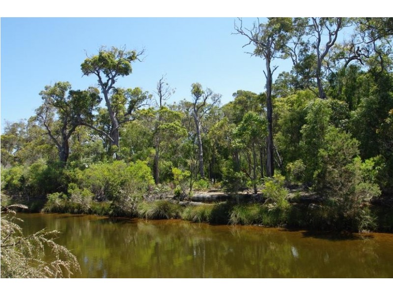 3 Dunkley Close, Molloy Island WA 6290
