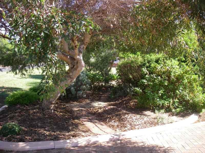 6 Brennan Street, Augusta WA 6290