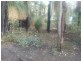 7 Fairlawn Place, Molloy Island WA 6290