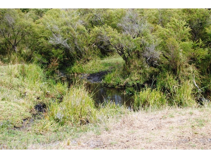 S/L 4250 Brockman Highway, Courtenay WA 6288