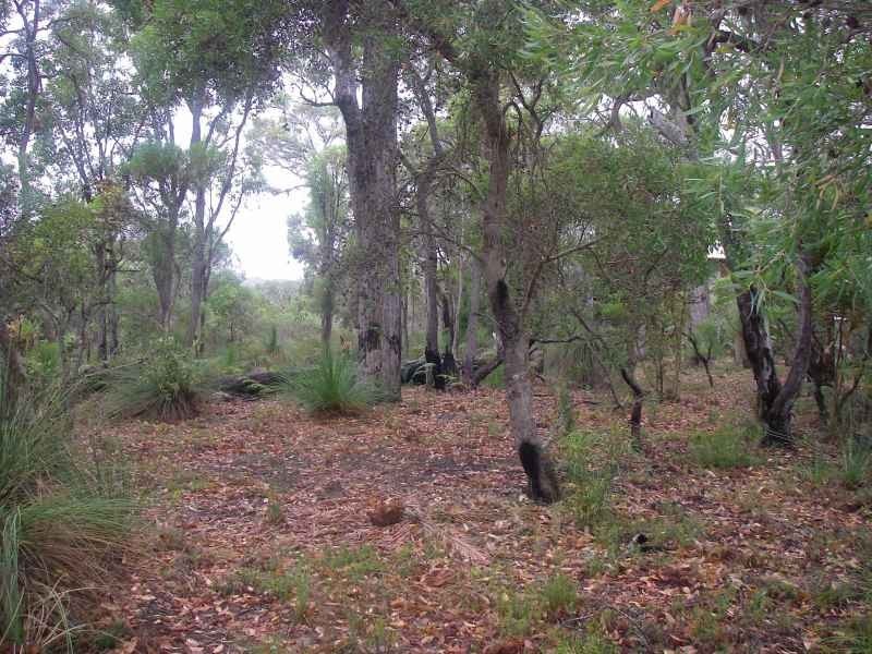 Lot 17, 66 Sabina Drive, Molloy Island WA 6290