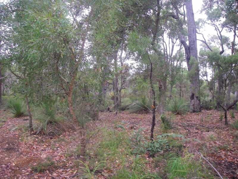 Lot 17, 66 Sabina Drive, Molloy Island WA 6290