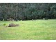 225 Bushby Road, Karridale WA 6288
