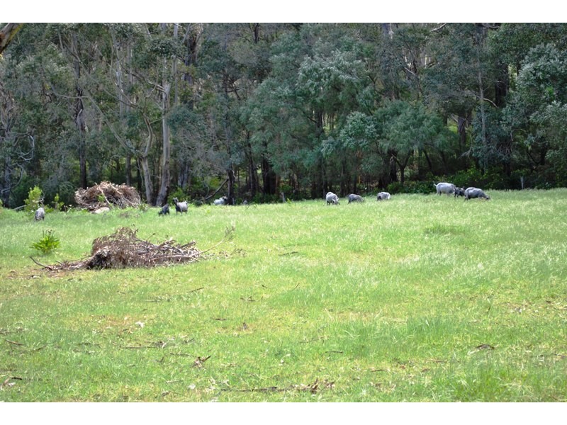 225 Bushby Road, Karridale WA 6288