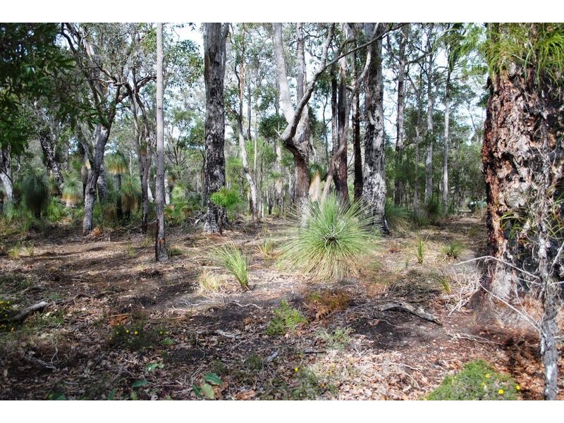 62 Sabina Drive, Molloy Island WA 6290