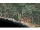 Lot 1,  Milyeannup Coast Road, Scott River East WA 6275