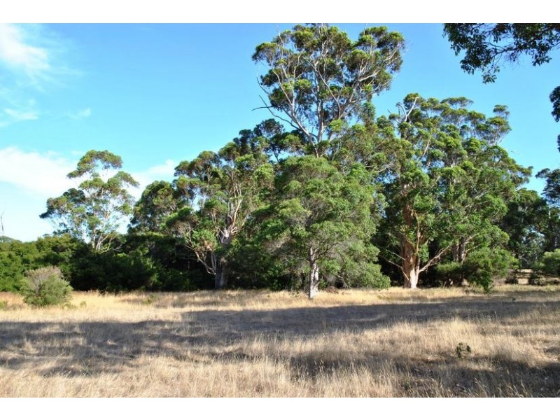 99 Cusack Road, Nillup WA 6288
