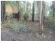 7 Fairlawn Place, Molloy Island WA 6290