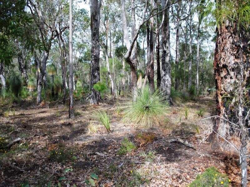 62 Sabina Drive, Molloy Island WA 6290