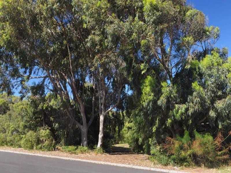 31 Dawson Terrace, Augusta WA 6290