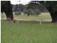 204 Twenty Four Road, Karridale WA 6288