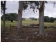 204 Twenty Four Road, Karridale WA 6288