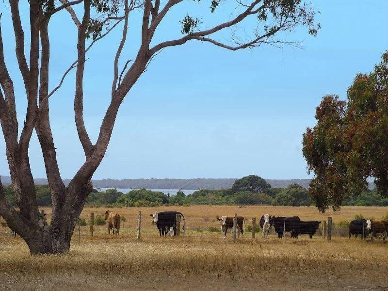 120 Challis Road, Augusta WA 6290