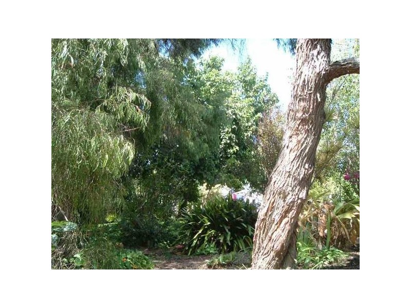 391 Wishart Road, Flinders Bay, Augusta WA 6290