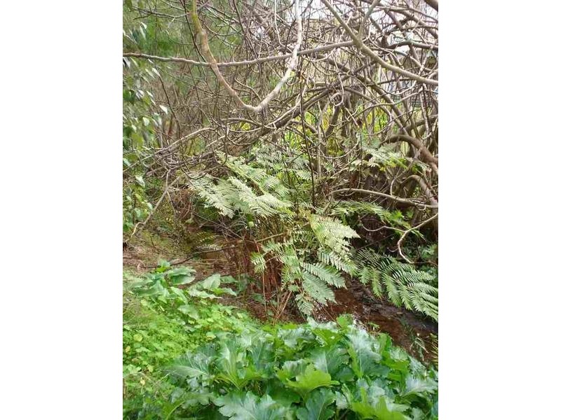 391 Wishart Road, Flinders Bay, Augusta WA 6290