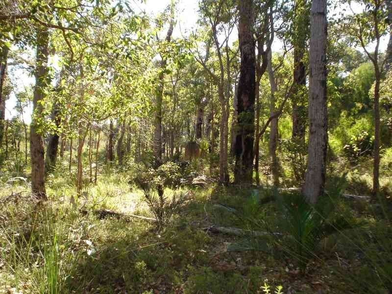 138 Canal Close, Molloy Island WA 6290