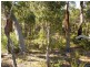 138 Canal Close, Molloy Island WA 6290