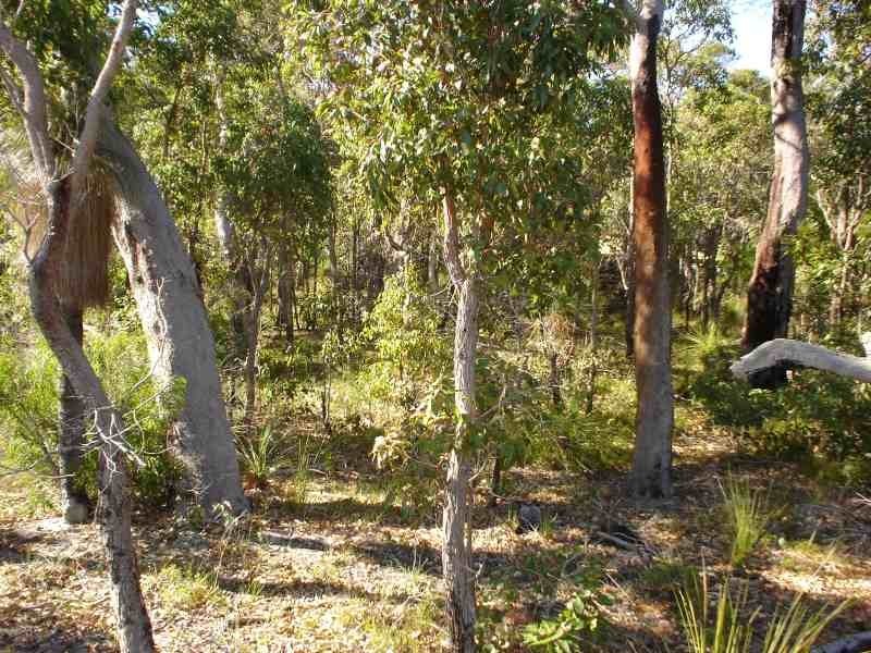 138 Canal Close, Molloy Island WA 6290