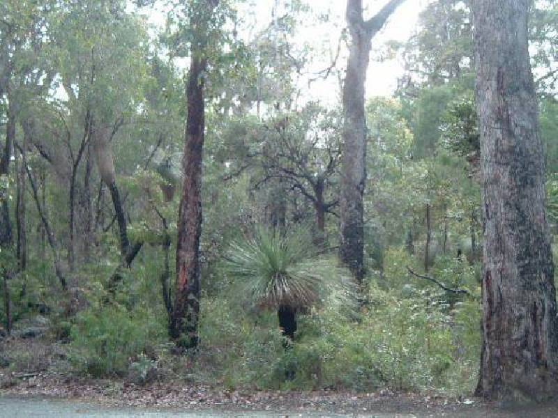 Lot 195 (11) Fairlawn Place, Molloy Island WA 6290