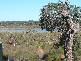 175 Dalton Way, Molloy Island WA 6290