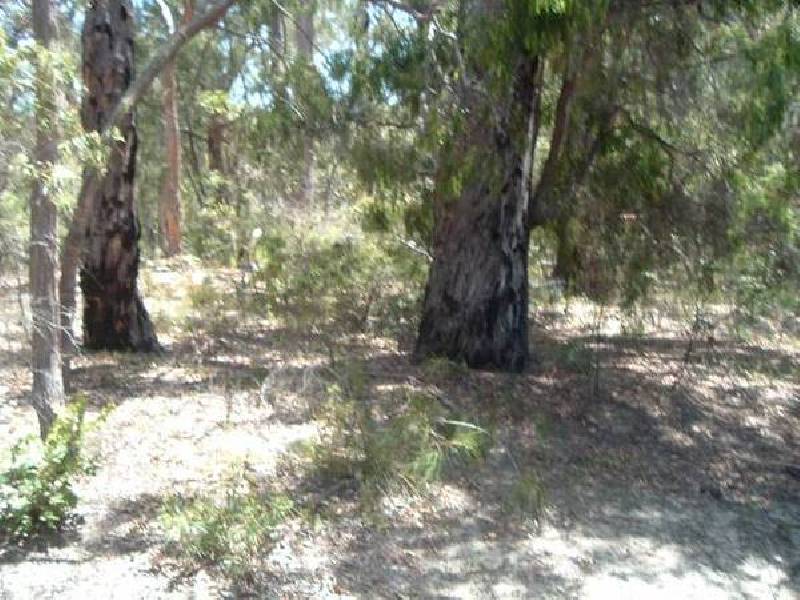 251 Warrior Way, Molloy Island WA 6290