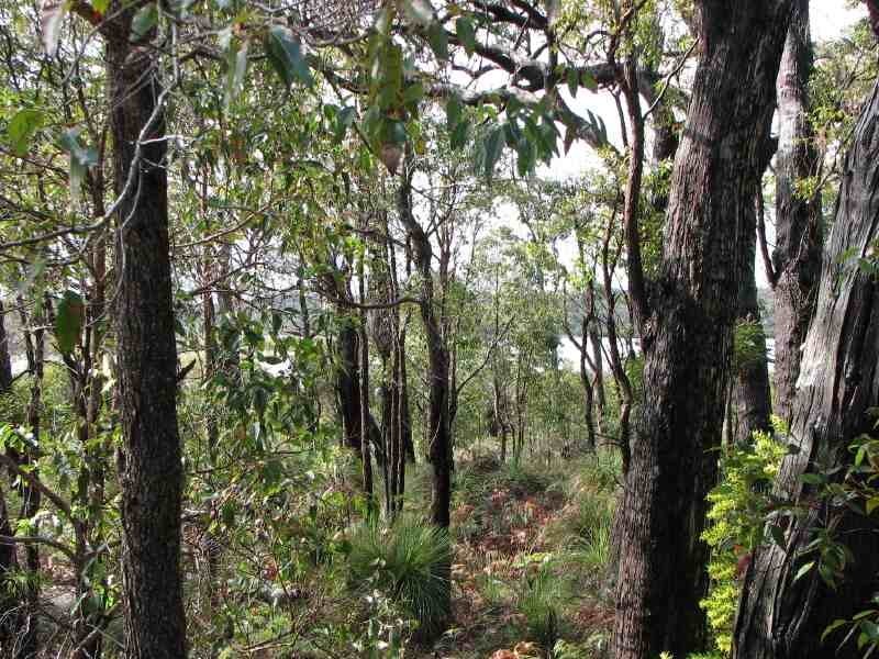 Lot 32 Sabina Drive, Molloy Island WA 6290