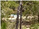 Lot 140 Canal Close, Molloy Island WA 6290