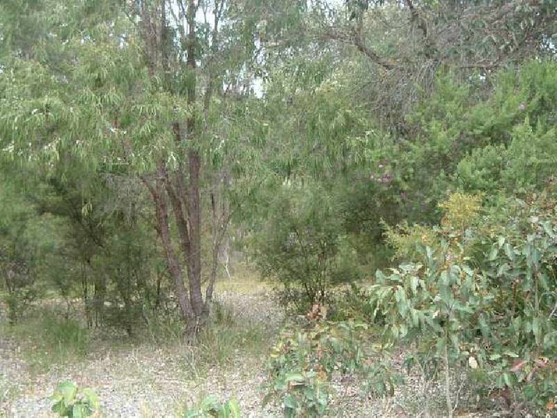Lot 23 Brockman Highway, Karridale WA 6288