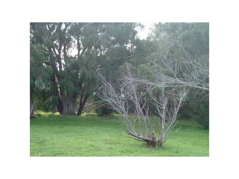 Proposed Lot A – 100 Brady Street, Augusta WA 6290