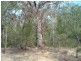 217 Dalton Way, Molloy Island WA 6290