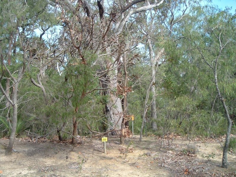 217 Dalton Way, Molloy Island WA 6290