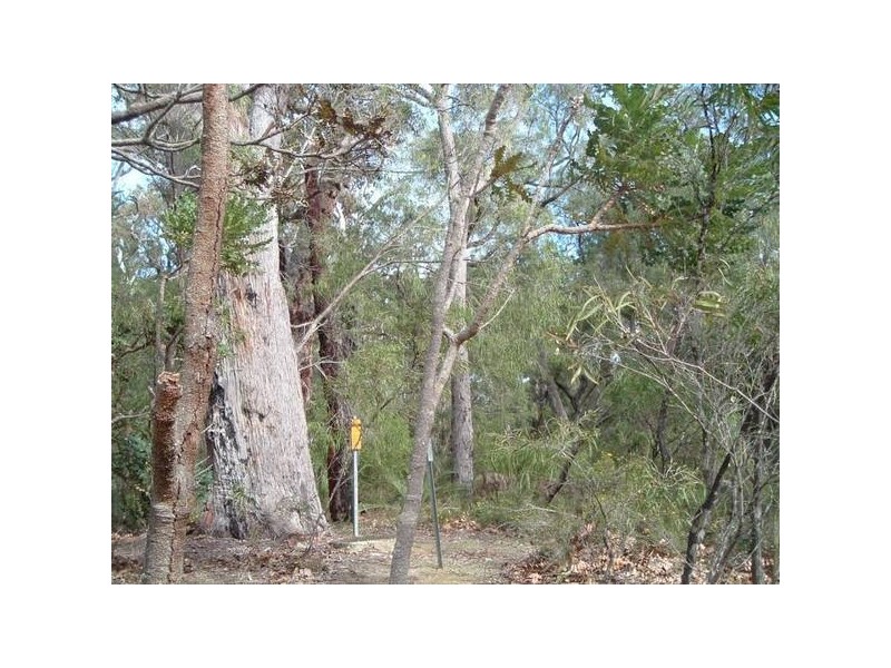 250 Warrior Way, Molloy Island WA 6290