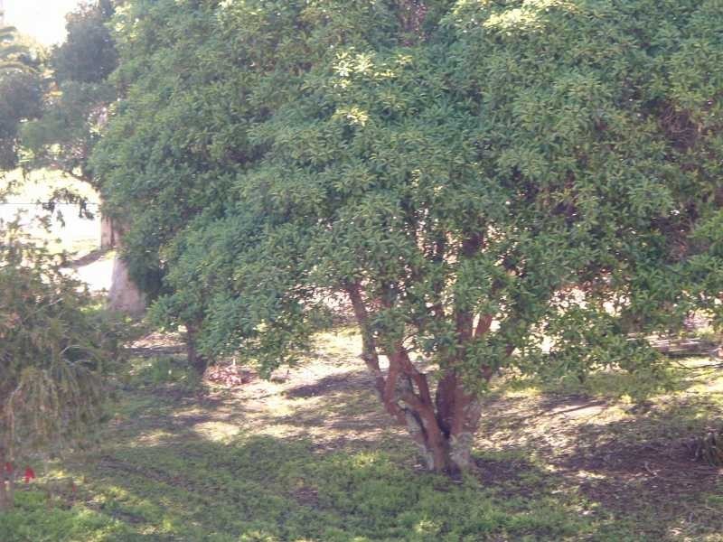 Lot 1,2 & 4, 171 Blackwood Avenue, Augusta WA 6290