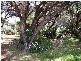 8 Davies Road, Augusta WA 6290