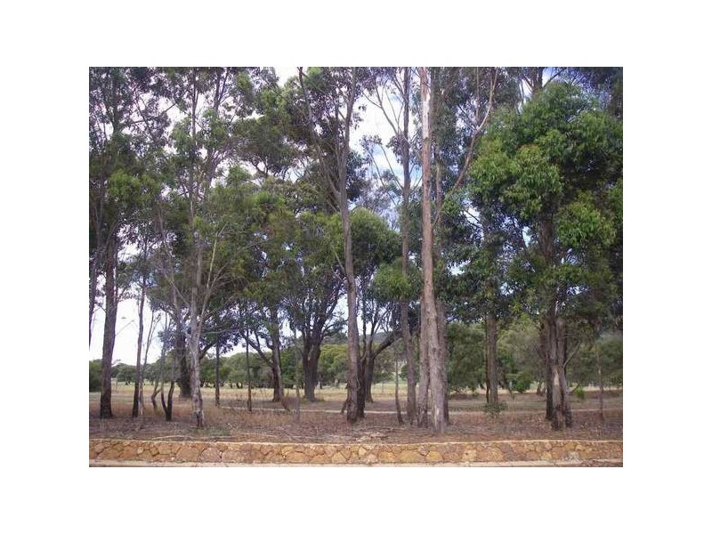 4 Hillview Road, Augusta WA 6290