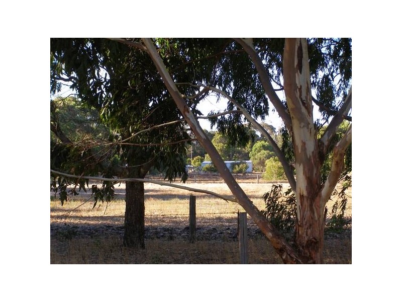 93 Jane Road, Augusta WA 6290