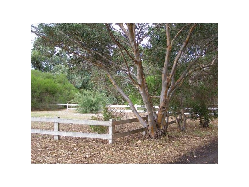 93 Jane Road, Augusta WA 6290