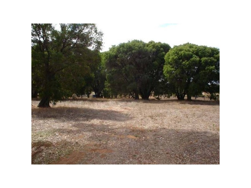 37 Kennedia Place, Augusta WA 6290