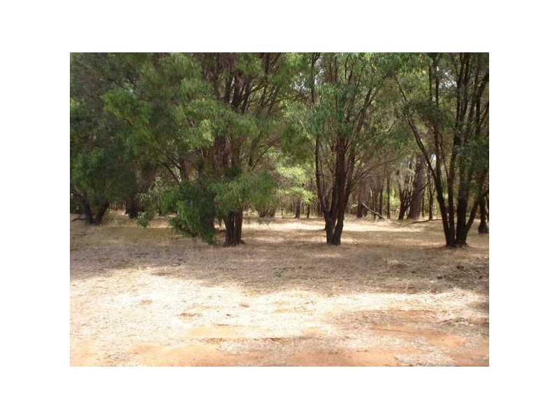 36 Kennedia Place, Augusta WA 6290