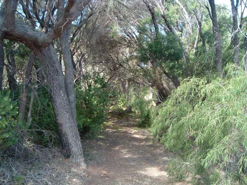 Lot 102, 67A Turner Street, Augusta WA 6290