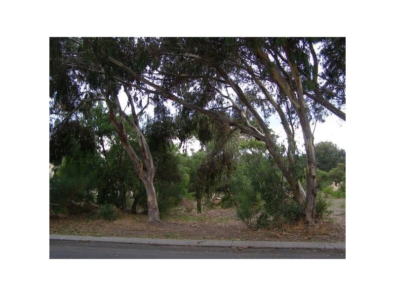 13 Chamberlain Place, Augusta WA 6290