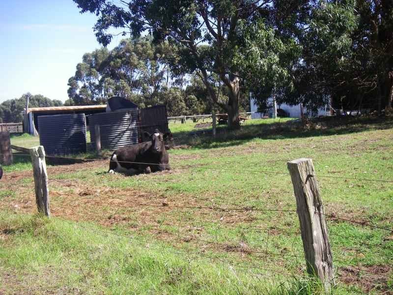 Lot 101,  Sussex Location 1495 Bussell Highway, Kudardup WA 6290