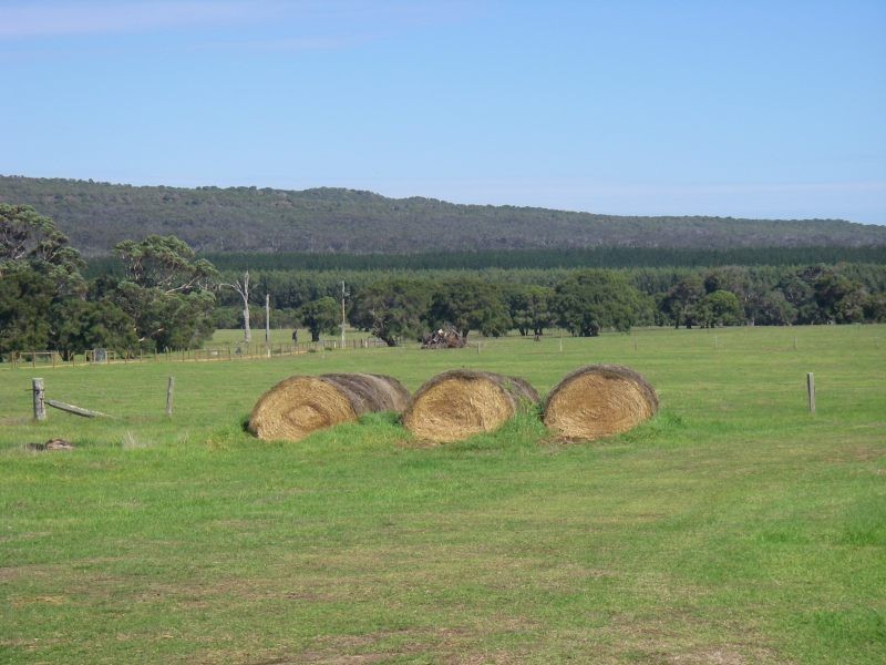 Lot 101,  Sussex Location 1495 Bussell Highway, Kudardup WA 6290