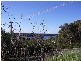 4 William Place, Augusta WA 6290