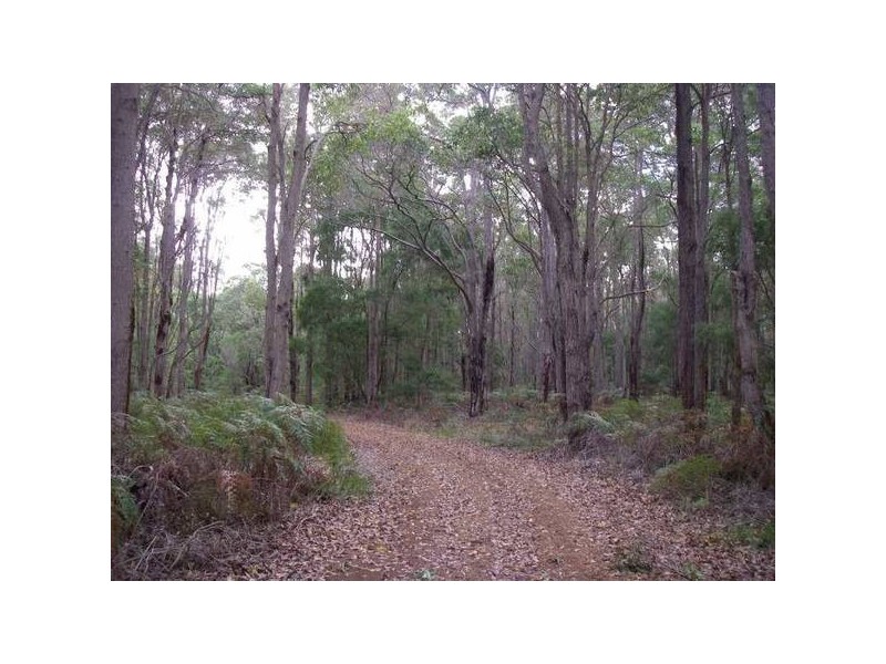 4063 Bussell Highway, Forest Grove WA 6286