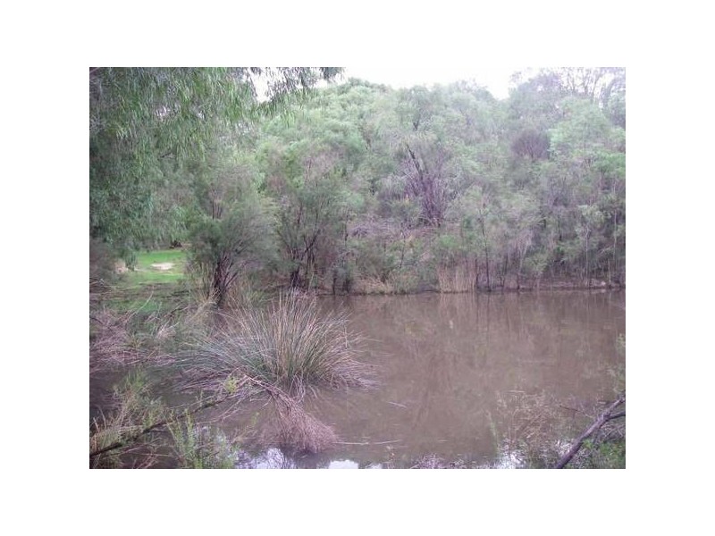 4063 Bussell Highway, Forest Grove WA 6286