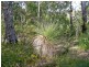 Lot 130, 5 Dunkley Close, Molloy Island WA 6290