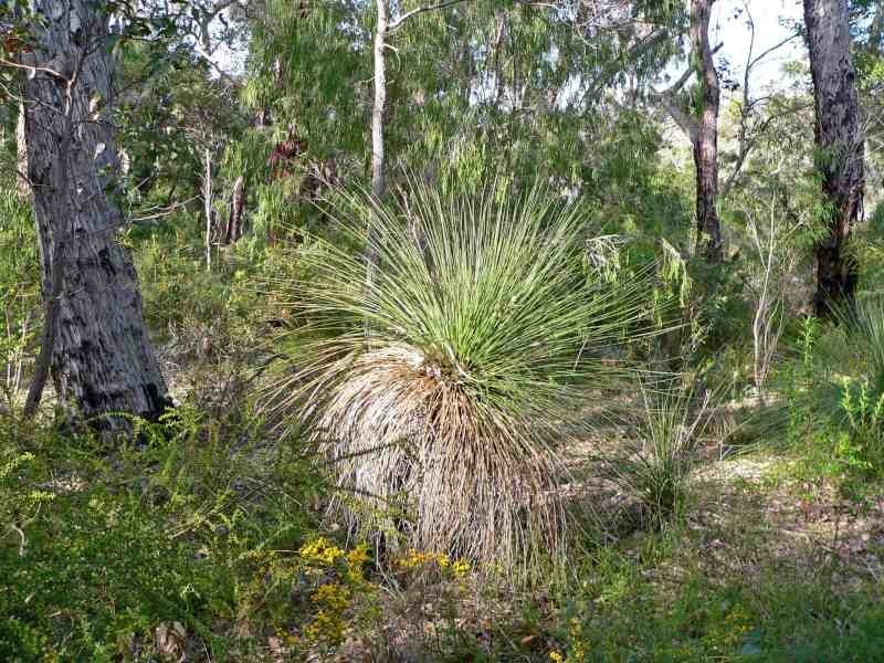 Lot 130, 5 Dunkley Close, Molloy Island WA 6290
