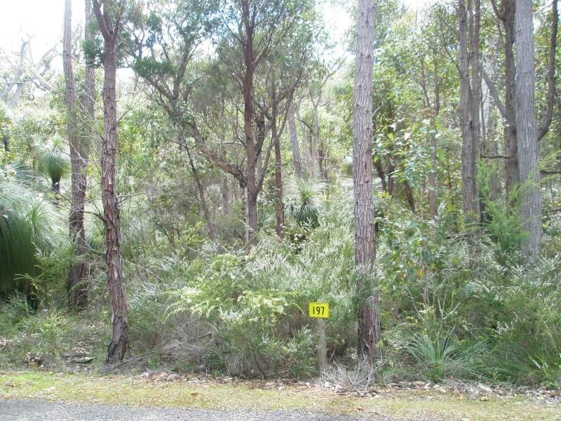 Lot 197, 7 Fairlawn Place, Molloy Island WA 6290